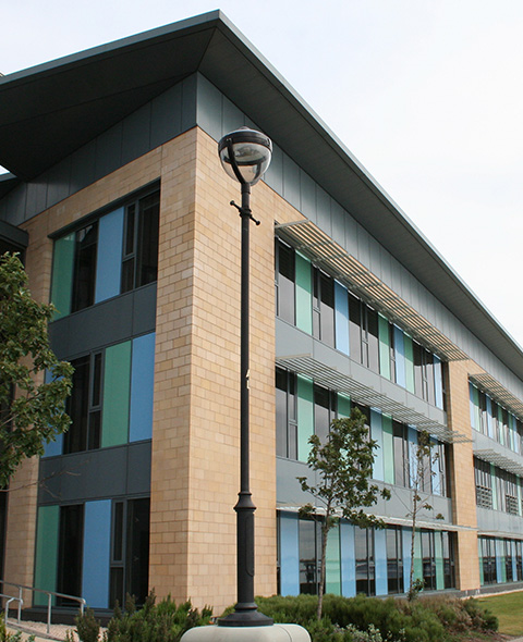 modern building with large windows and a street lamp in front featuring green landscaping and contemporary architecture six essential design elements